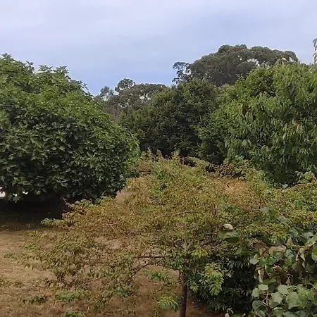 Costa A Marina Feriehus San Miguel Reinante